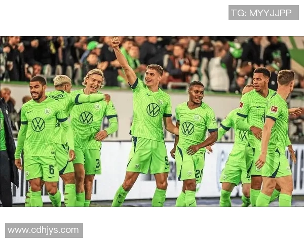 绿色球队德甲：探索德甲联赛中的绿色球队及其特色