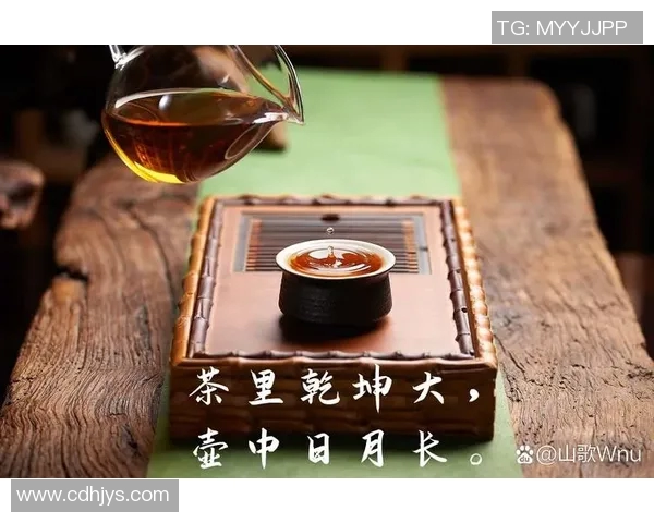 茶香四溢品味人生探秘中国茶叶文化的历史传承与现代风尚