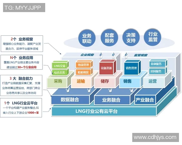LNG反击策略深度分析：如何在竞争中逆风翻盘